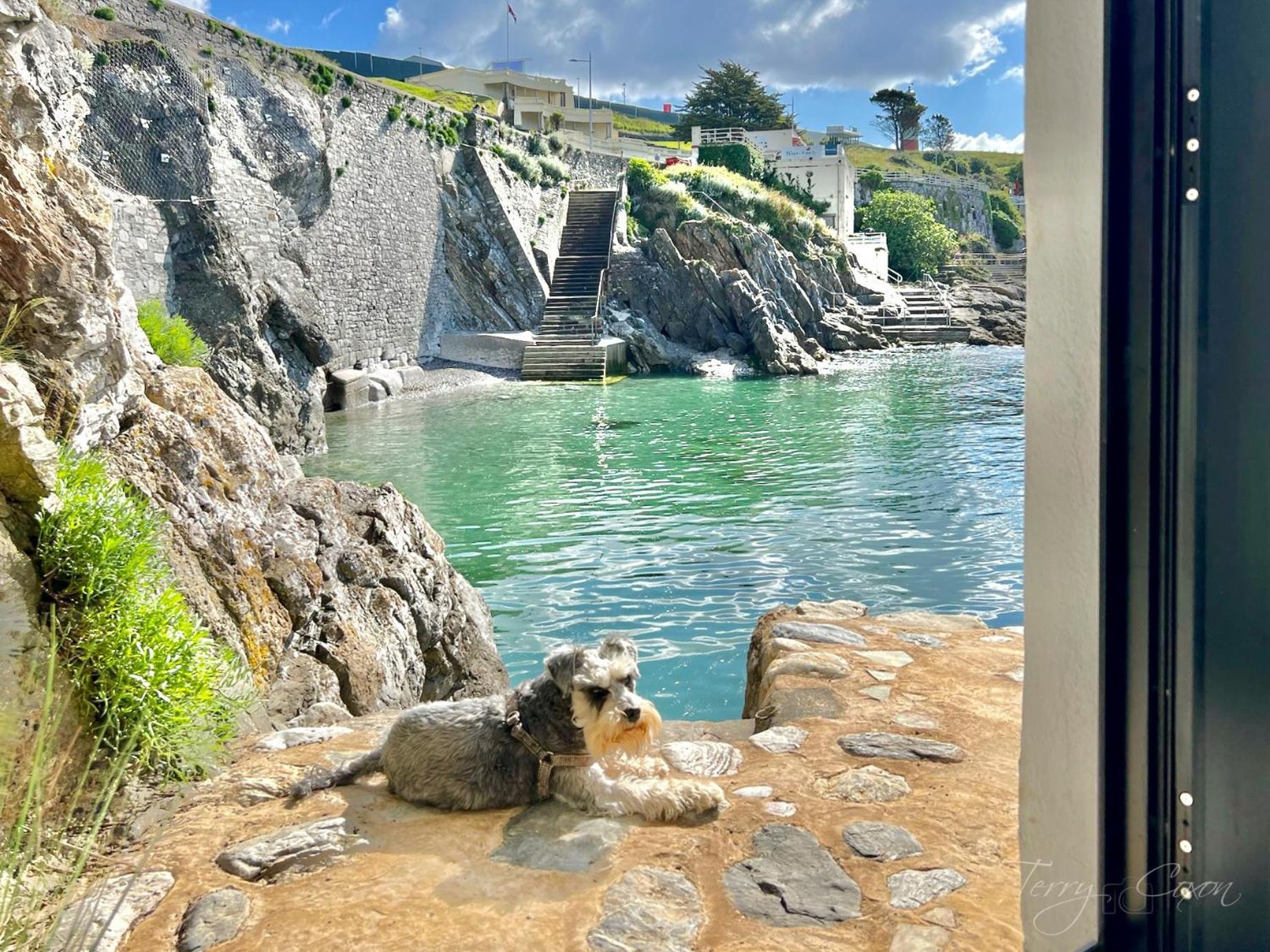 Seafront Cottage - Beach Access - Pet Friendly Plymouth Dış mekan fotoğraf